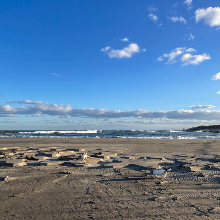 A2296972 563f 4127 83cf adb50b90bdc2 1762906371945