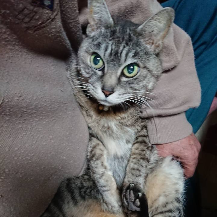 A2297643 659c 4b83 af55 abb6c936585b 1553461087952