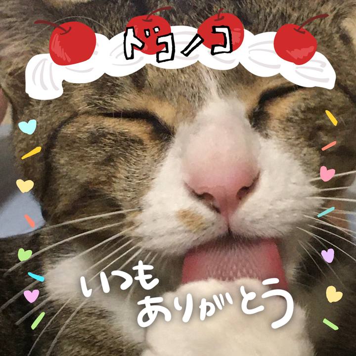 A2297c05 5f9c 4297 97a0 4c601c8a010f 1686008235118