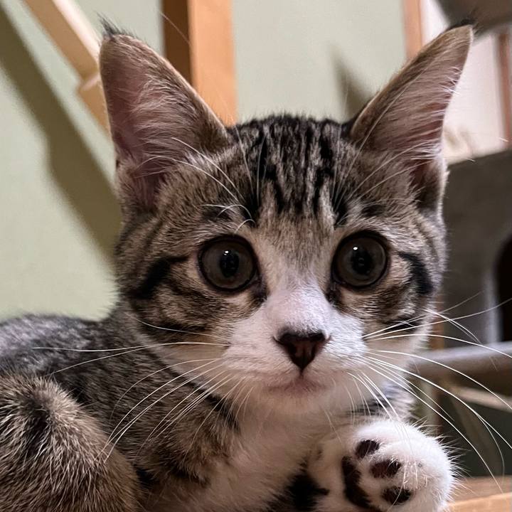 A2298f60 6e51 4952 ad2c 7d73e6af75ef 1692916789358