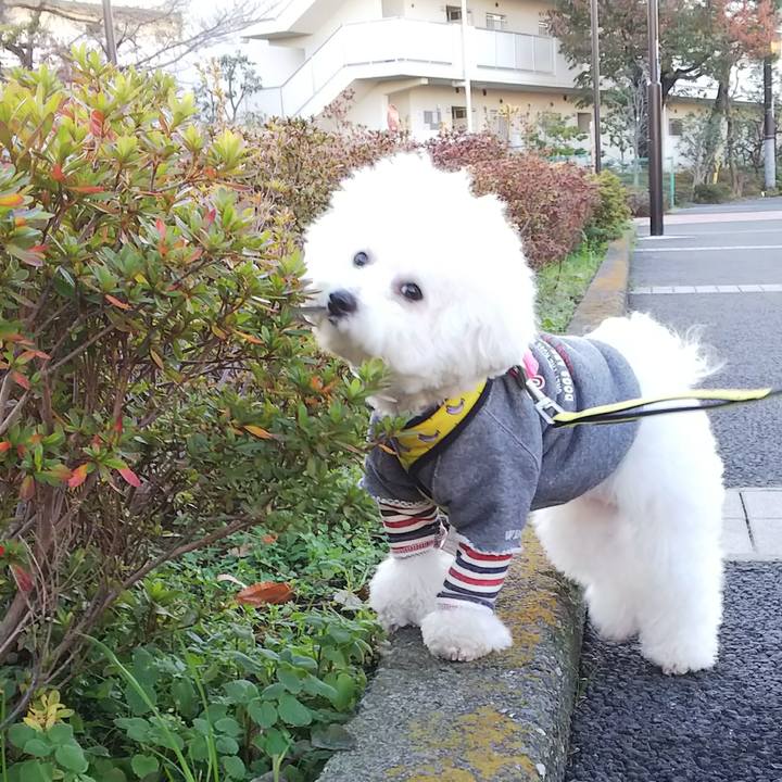 A22991d1 858b 4b69 91d2 95d18de5bdd8 1511077636756