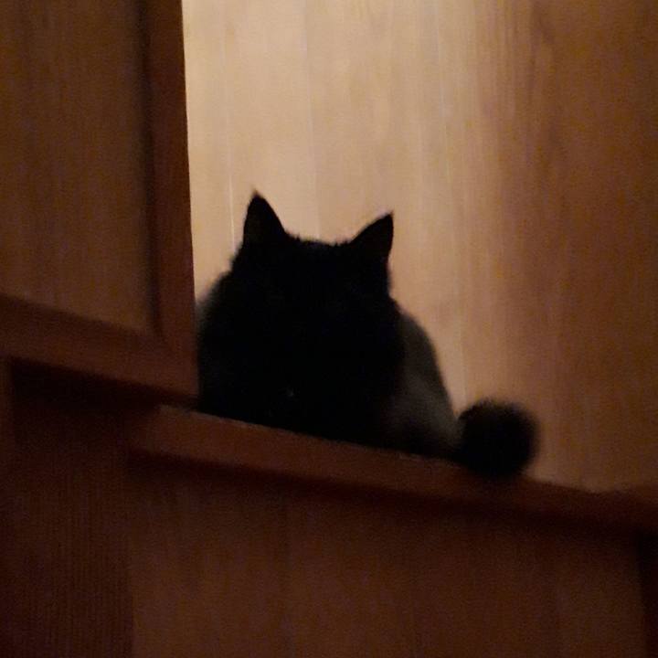 A22999ce 87d7 4e3e a278 d637d247d2ac 1563202761094