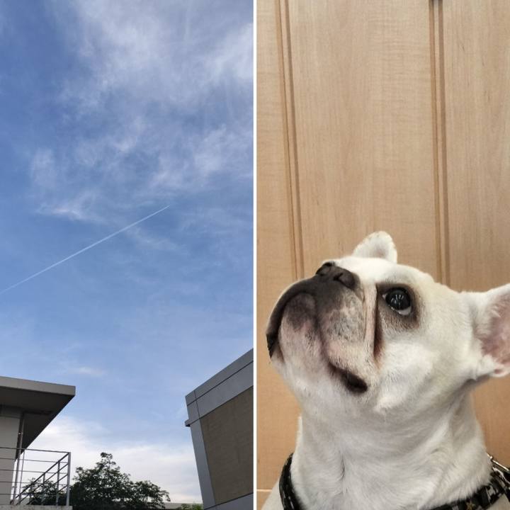 A229a1cd a18d 439c 9b32 f603c7863fc3 1683588395478