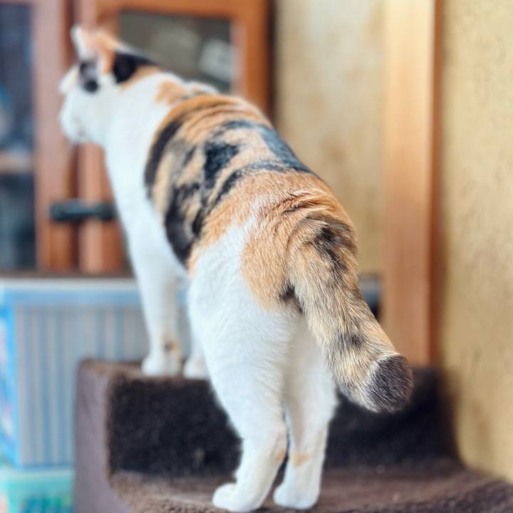 A229c106 70f3 4917 8889 7a853de1ab72 1727051904558