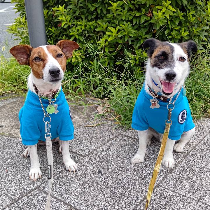 A229d176 0bc3 40e7 a020 018a4048034c 1659388228588