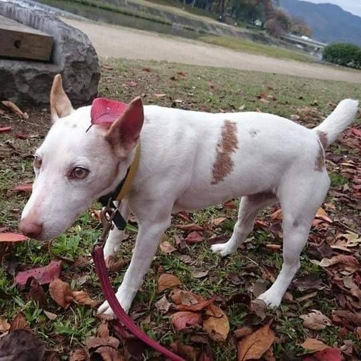 A22a0c3b 0b2a 4a6a a7cb 41fad548fca3 1668685304610