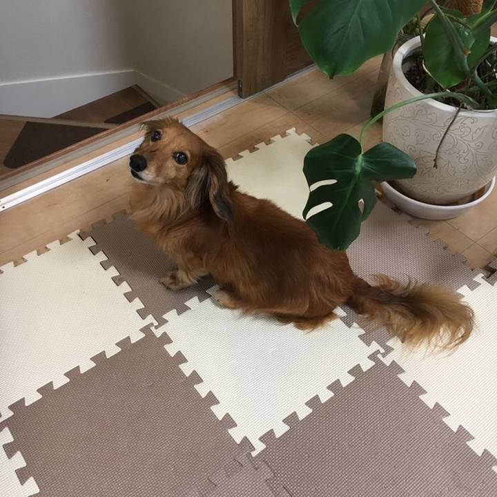 A22a1b94 3be2 4da8 88fd ea004f92b0b5 1558360098652