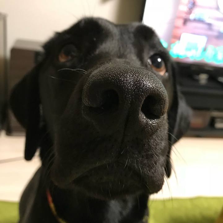 A22a4f7a 28fb 4ddd 98ab 99298e7995ee 1523621050570