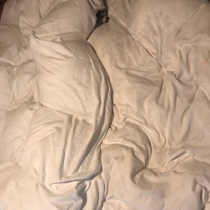 A22a5556 c1c6 493d 82a2 b092d239350c 1650115867373