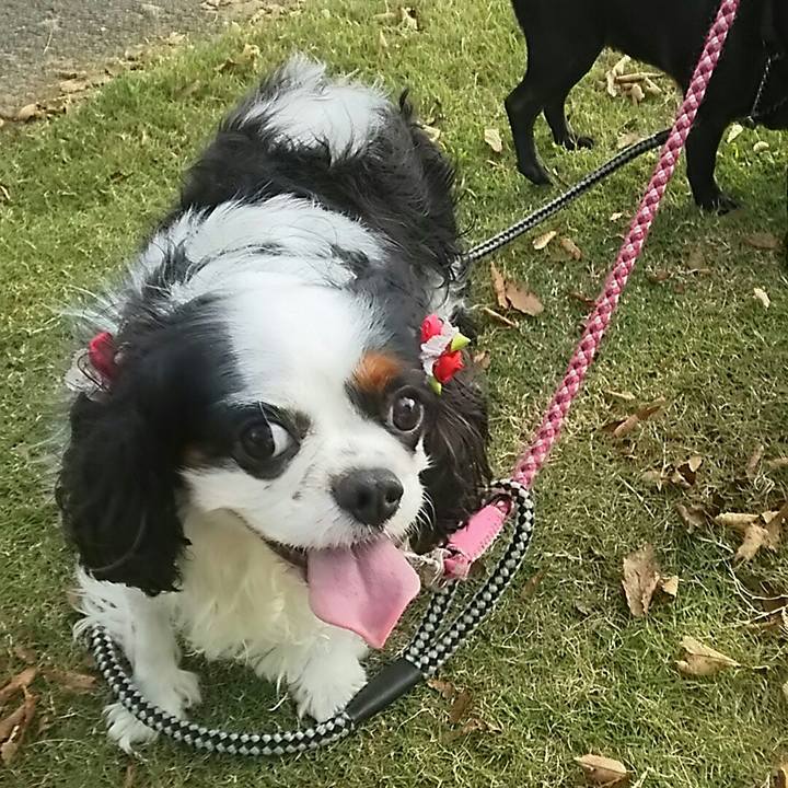 A22a6168 77b5 4227 b8c3 d37771ce584c 1540018846782