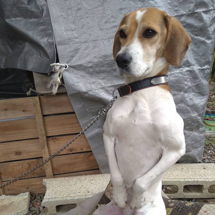 A22a6776 8e7e 48ec ab9d a6ceef3738cf 1640150201465