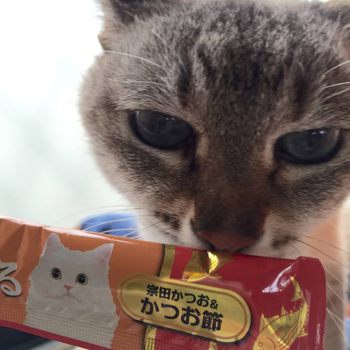 A22a6f44 890d 4812 ab71 525525052f0e 1525846424552