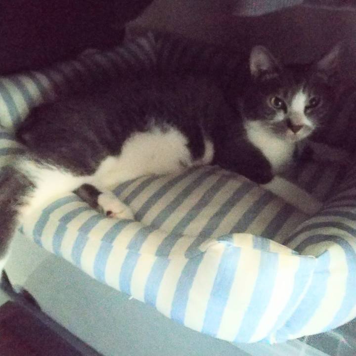 A22a74e3 4d55 4642 b7e4 30567fecded3 1651029269434