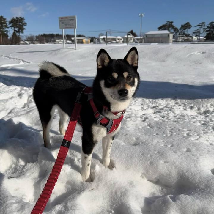 A22aa3d0 f289 433f bc7f 457dae256263 1769937066321