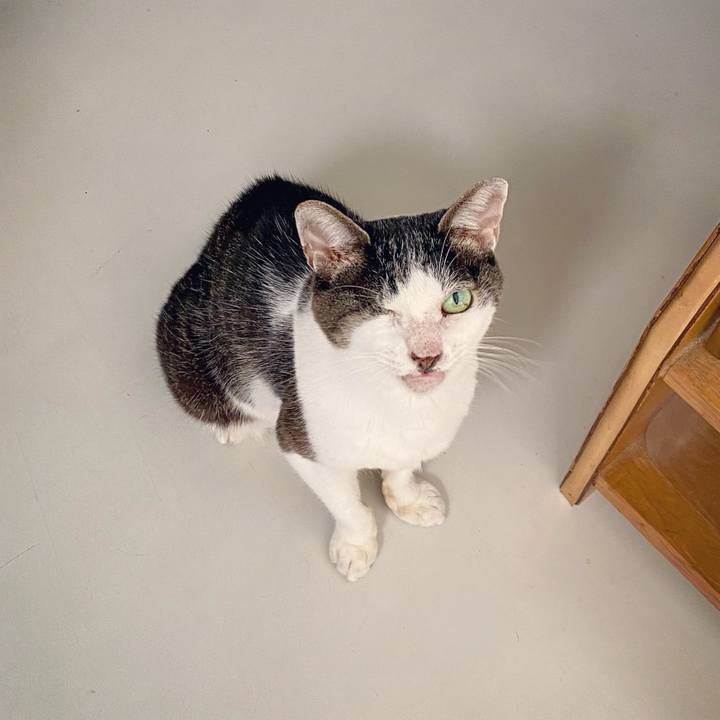 A22ac713 900f 4656 8e98 e457eac8d713 1629356401830