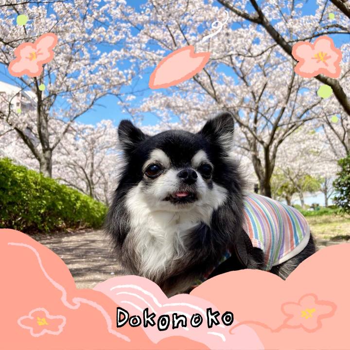 A22addb4 d5db 43ab 8b14 9392c3f33270 1775227049032