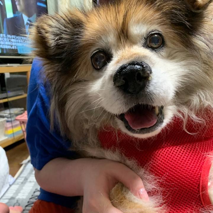 A22aea3d cdec 476a 8d06 2ef7289b83d3 1575350184607