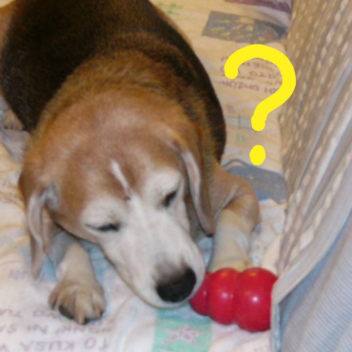 A22b1a91 15e6 4d3b b782 c17a6357b95d 1652401149097