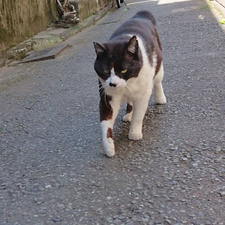 A22b3258 9919 49ff a18d 0f3f640d8cfe 1653375483119