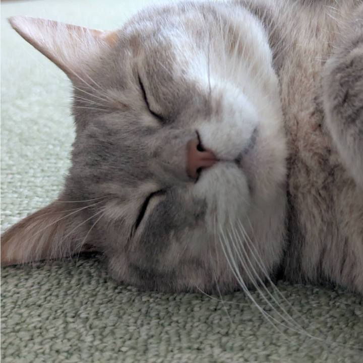 A22b3ede ffb3 4cde bb07 239300743f0a 1772435553543