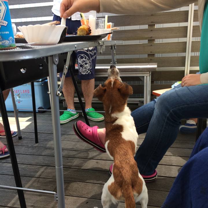 A22b78d8 6603 4c57 ac64 53684303cd27 1525408471705