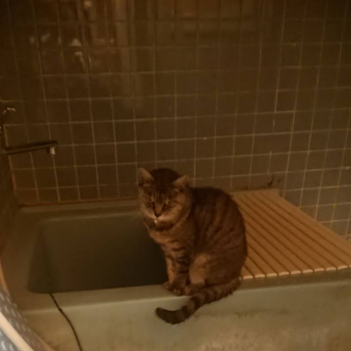 A22b8827 3c9c 4c88 a7d1 247232658d16 1572253154711