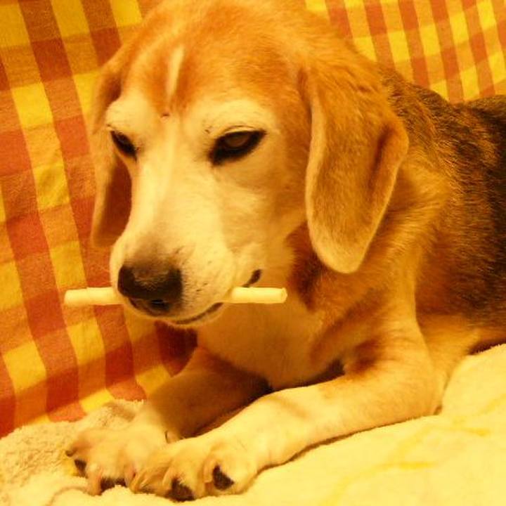 A22ba5ef 45da 4b42 8c92 54f34c373704 1671153809691