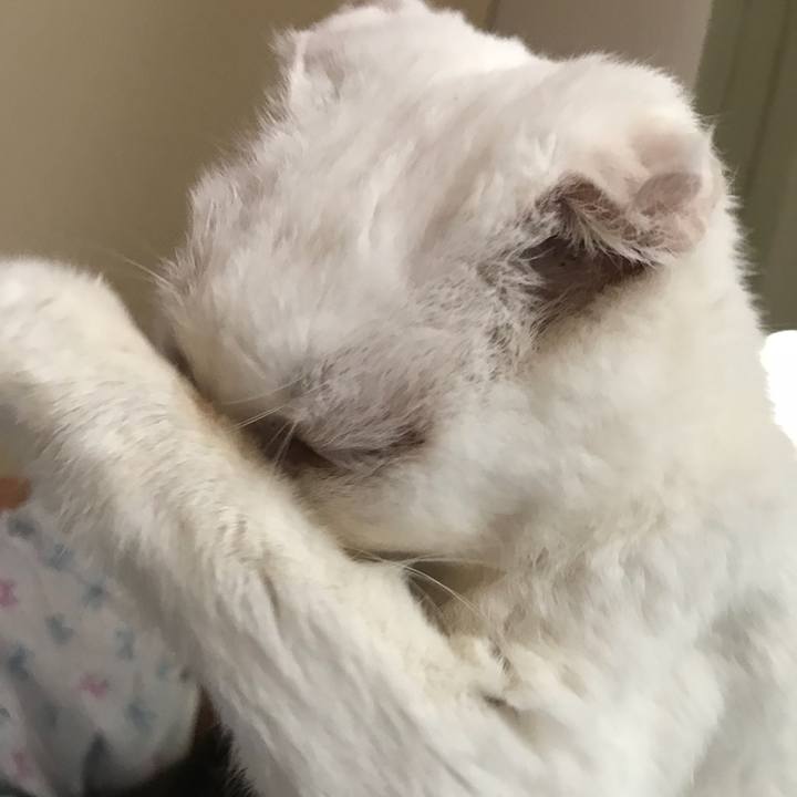 A22bc2d3 5ea1 494f 865d a4209688cd53 1535406242873