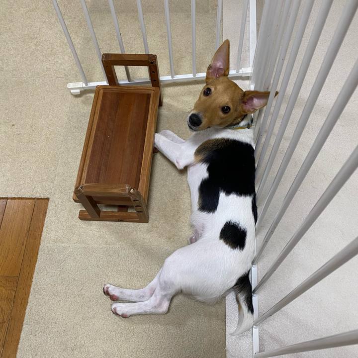 A22bc66a f461 4ed1 b6ed b5cea53ce5bf 1760359998352