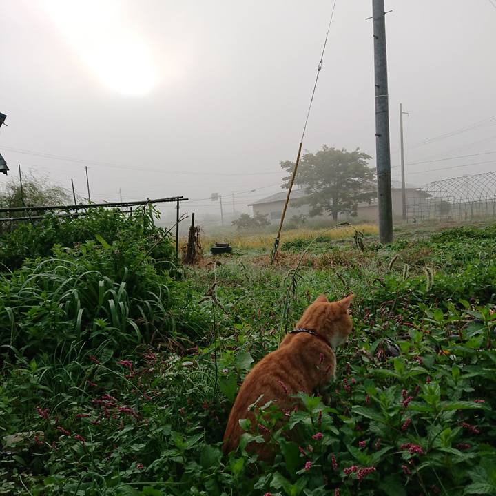 A22bf2f1 8eb6 4a66 8d76 1a3a74bd21cd 1569805251607