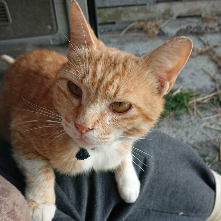 A22bff02 f3b0 4983 a3b4 08576debe109 1560371161239