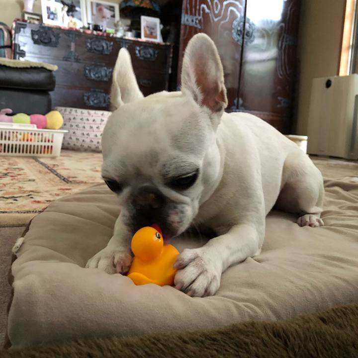 A22c39d0 3446 4b8c bfd9 52b89d251582 1620177906534