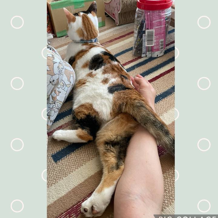 A22c42ef fc6f 4035 8610 808ad090036b 1726616022396