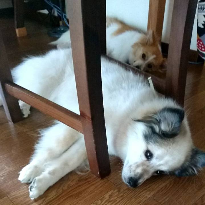 A22c4d9e dabf 41e2 81ef c6e23f95018e 1532956912992