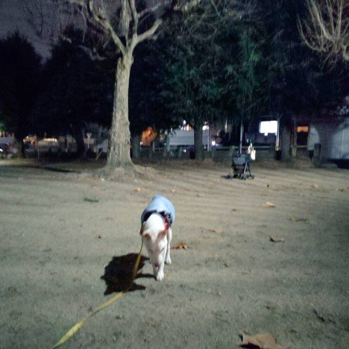 A22c6886 930e 4884 952e c2dc7624ffba 1578563529902