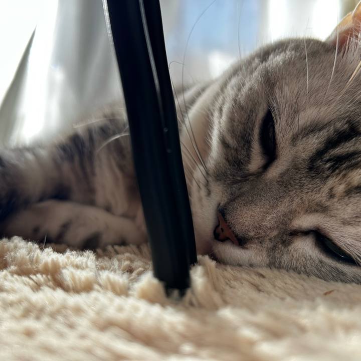 A22c8900 d6cf 41ce 8d32 acda7ed7aa9f 1763945385300