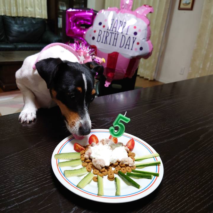 A22c8e2f 4c04 4f55 957c 7c1d1e1a2d31 1660558892704