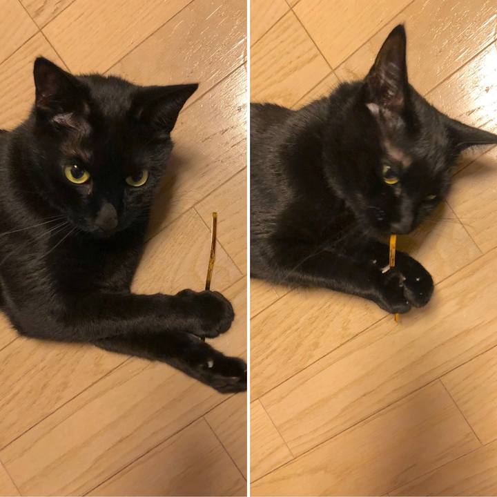 A22cb74e 0981 4549 b0e6 23c37200c363 1552397304791