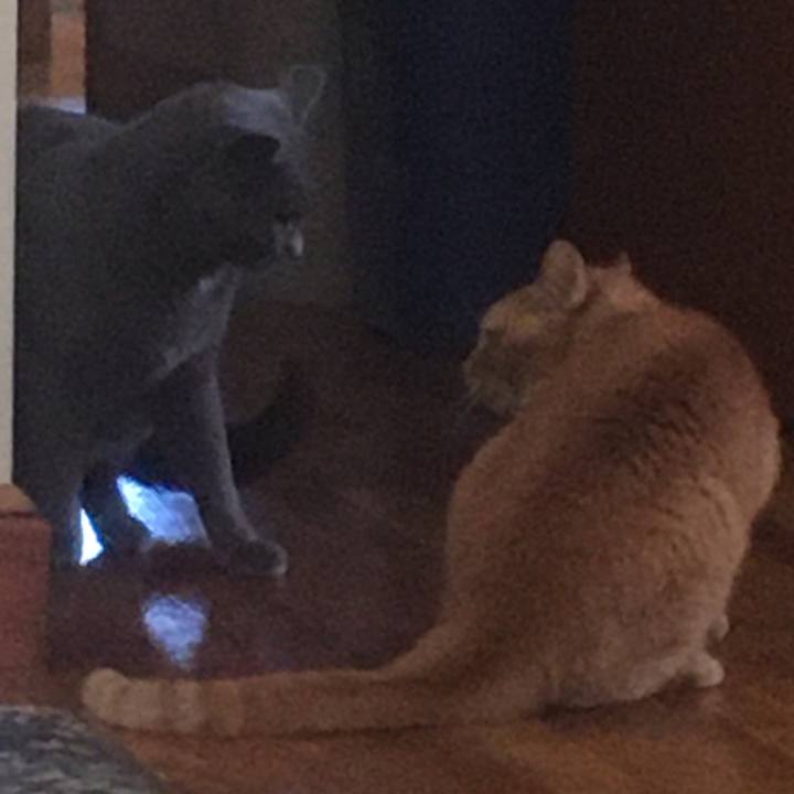 A22cc672 9c5e 4888 848d 97938cc53313 1633481620031