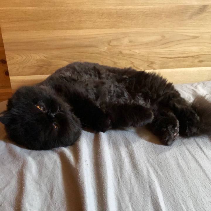 A22cd955 3672 433c ad95 099f59b93147 1654909405984