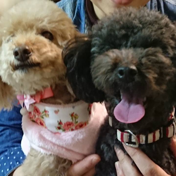 A22cf692 a6bd 4768 b6fb 7ae920868afa 1577979404852