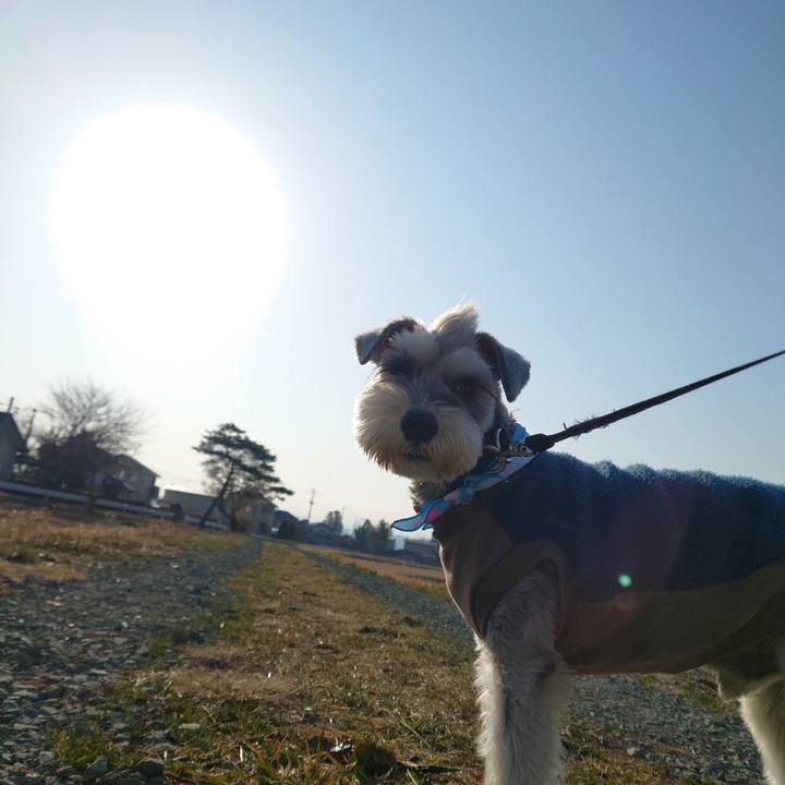 A22d1753 8996 4d54 9df5 610834072b7e 1774134368265