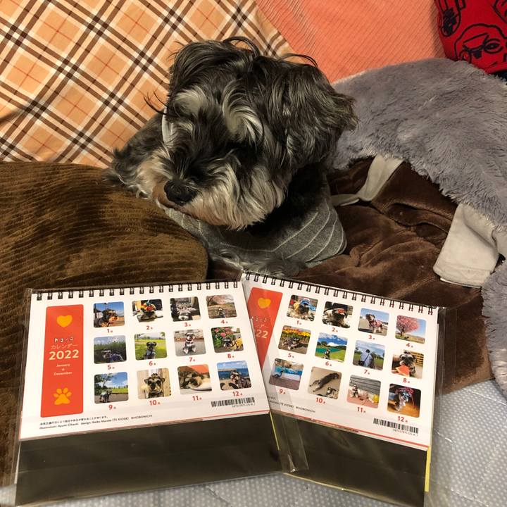 A22d5c64 094c 416f 88f3 2cd37df9b0f9 1637238443066