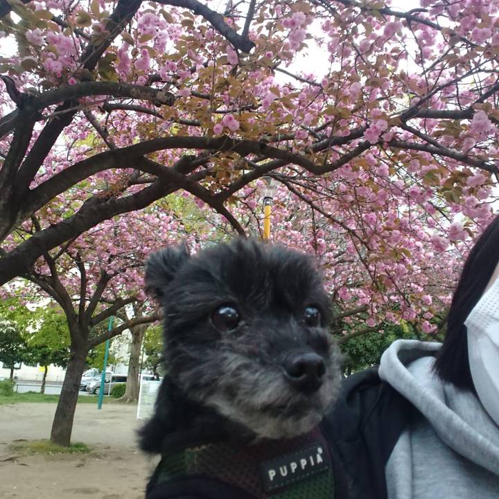 A22d8472 a987 4022 aaf1 0b6237a82293 1586594670923