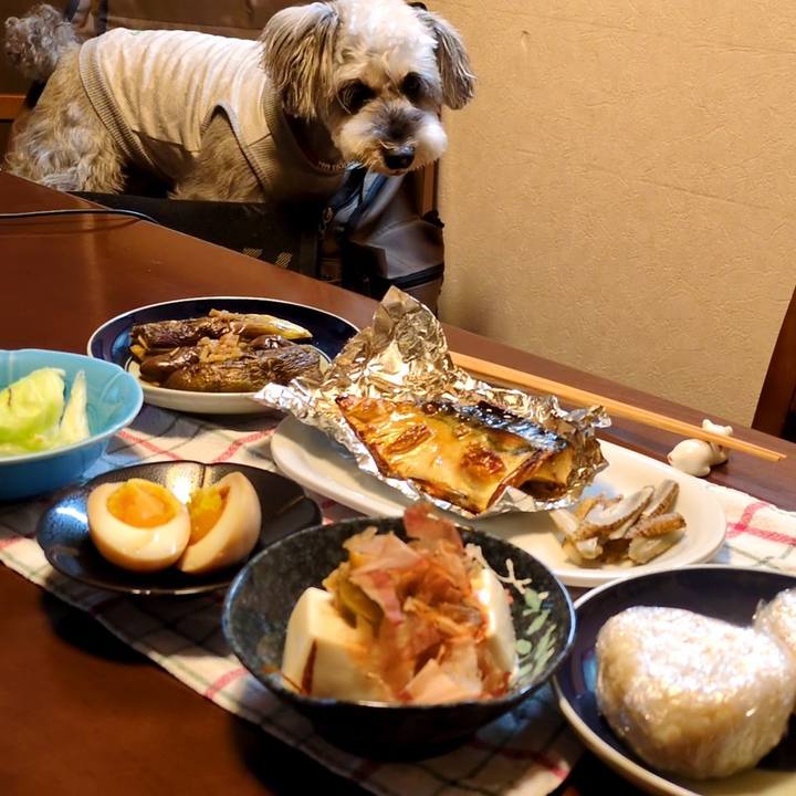 A22d8cb5 4fcf 423d be0a e975e61a2548 1756417108012