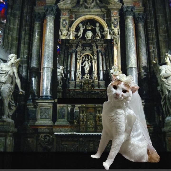 A22d945d 46de 4ceb 91e0 241faf06227a 1768573669224