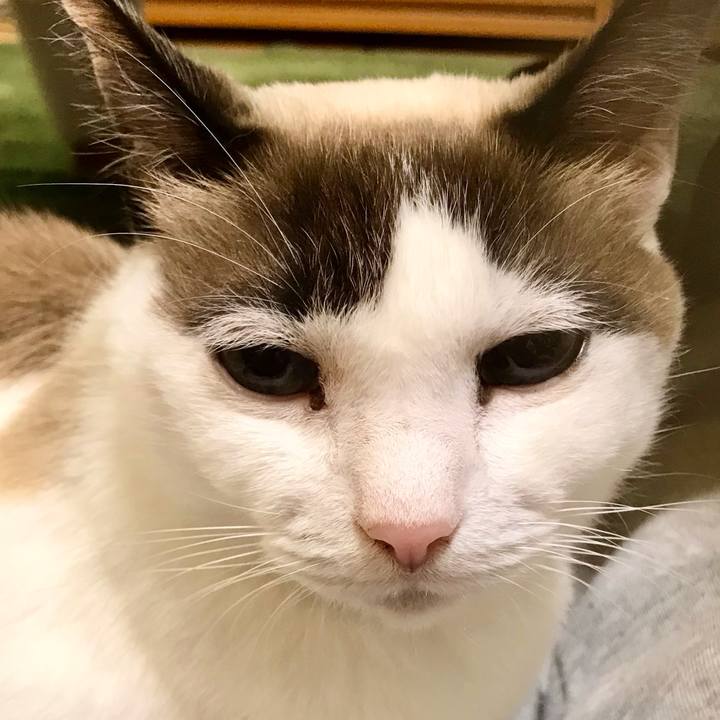 A22d9ff1 5c48 4e50 91f8 2649ed23f0e8 1610543240818