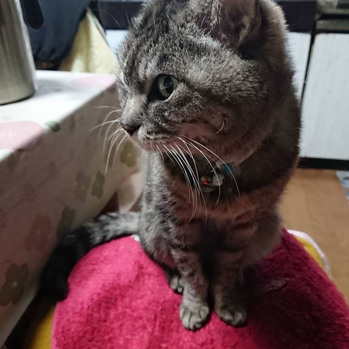 A22dd688 7669 44c0 902b f1ed688663bc 1553774424300