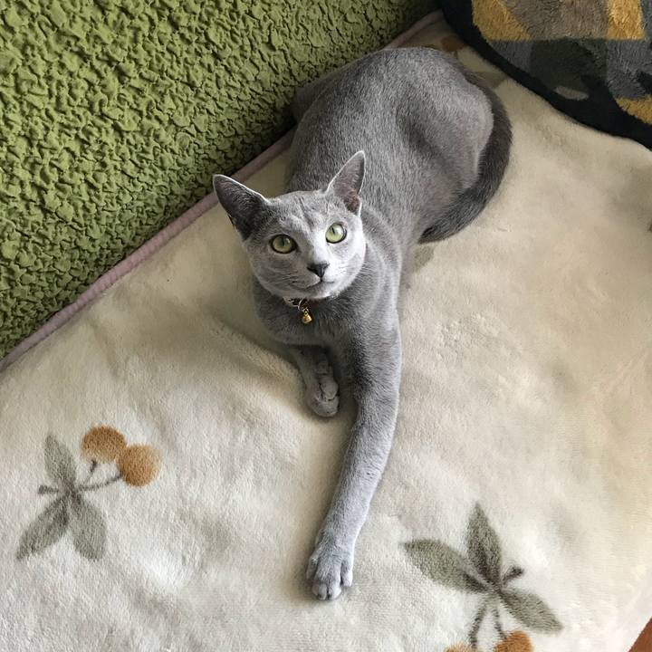 A22e080a 2f5f 422b 9ca6 d0f83f5caa32 1522592398641