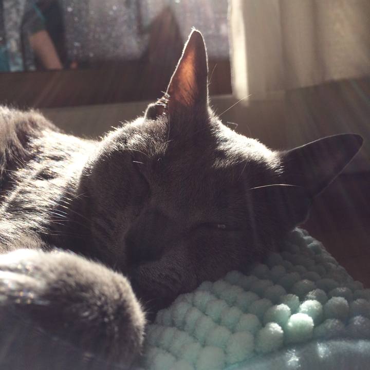 A22e34a7 20c1 421b 941d 46574140464a 1514952741930